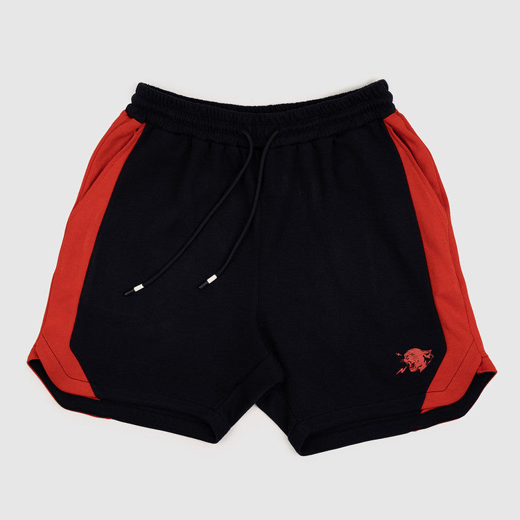 Fashion New Workout Shorts Men